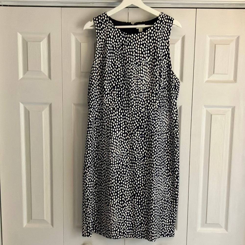 Navy w/ white polka dots